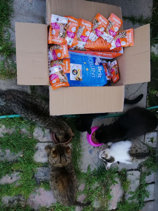 Kočičí depozitum Lovčice 31.7